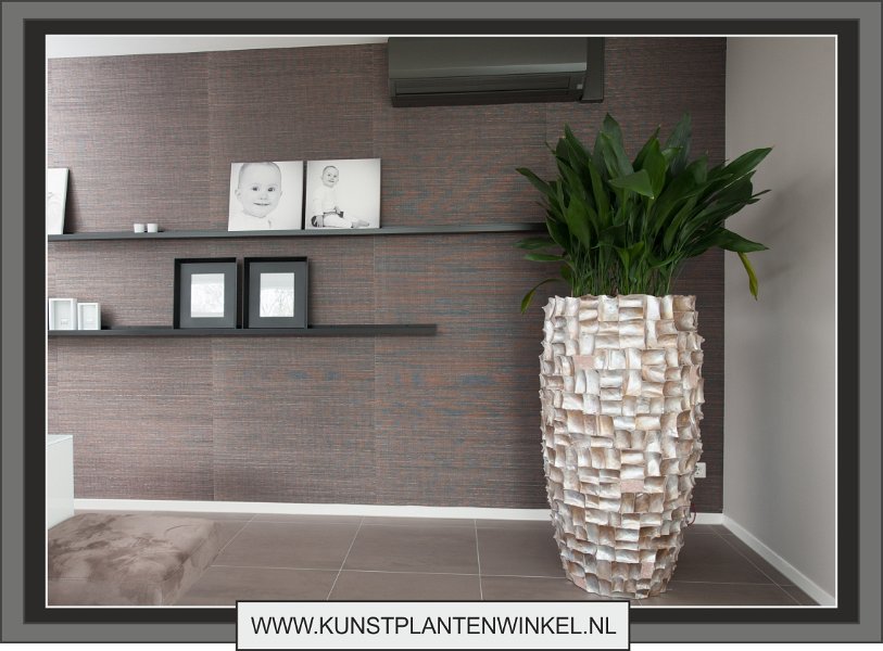 ocean vaas groot met aspidistra